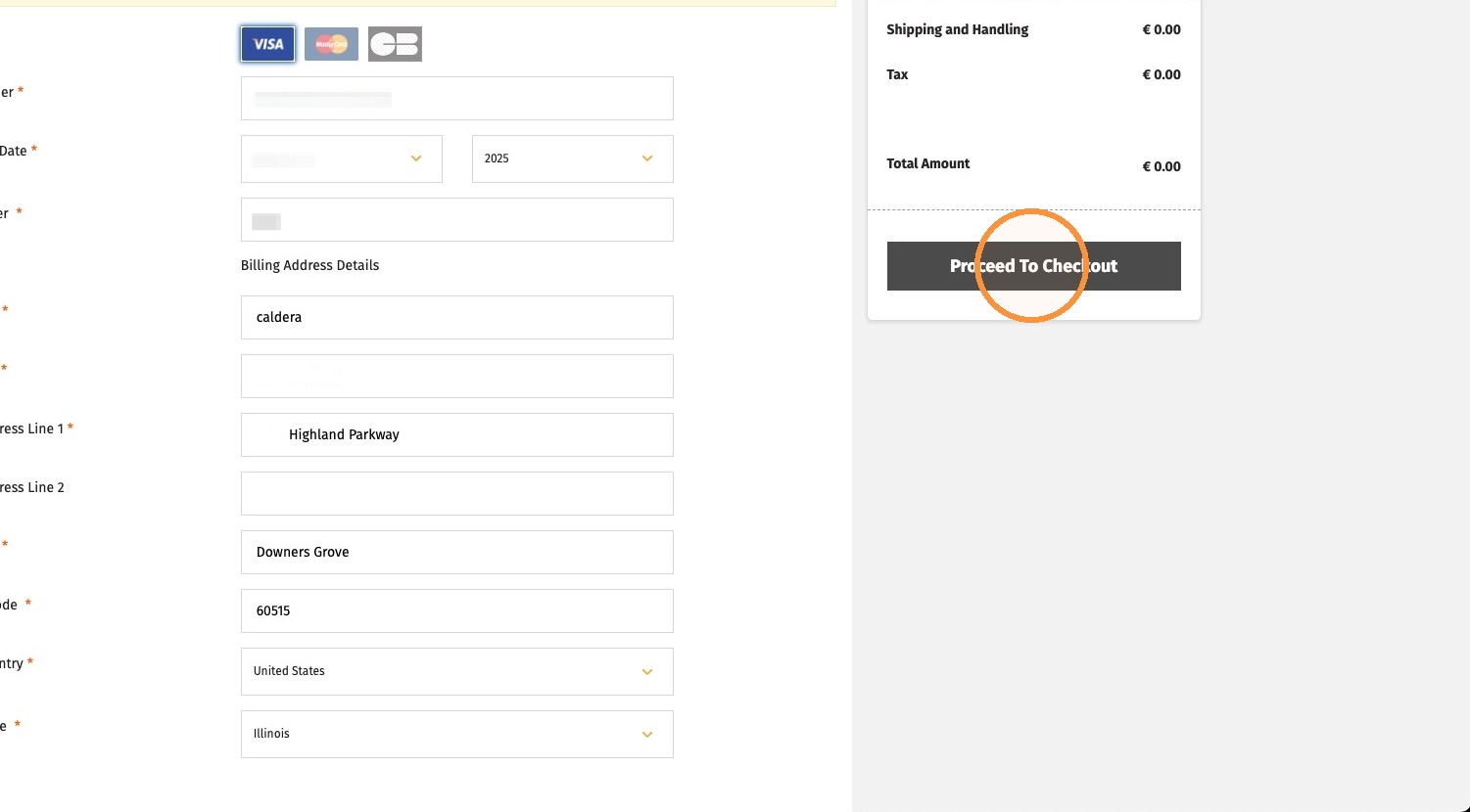 Payment card details