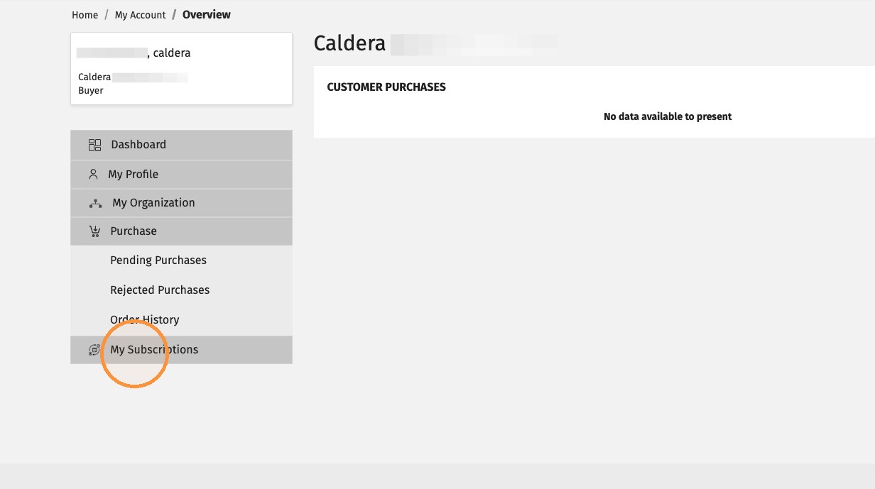 Subscriptions menu