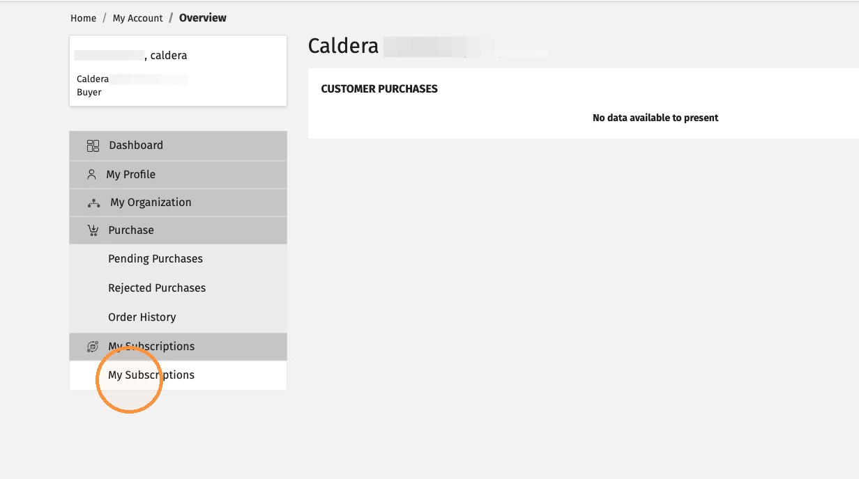 My Subscriptions option