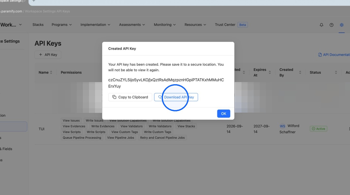 The generated API key to store securely
