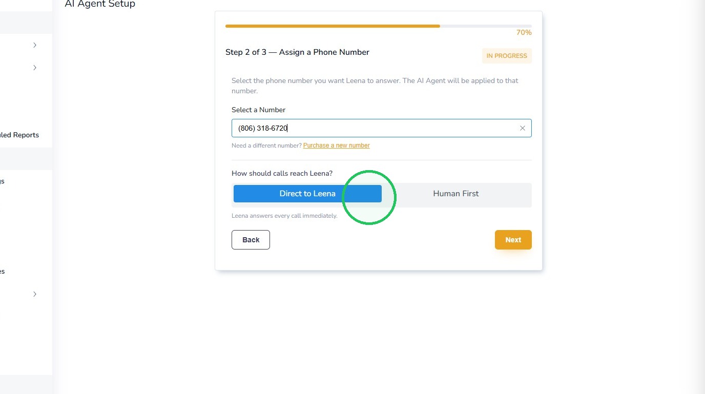 Direct to Leena is selected