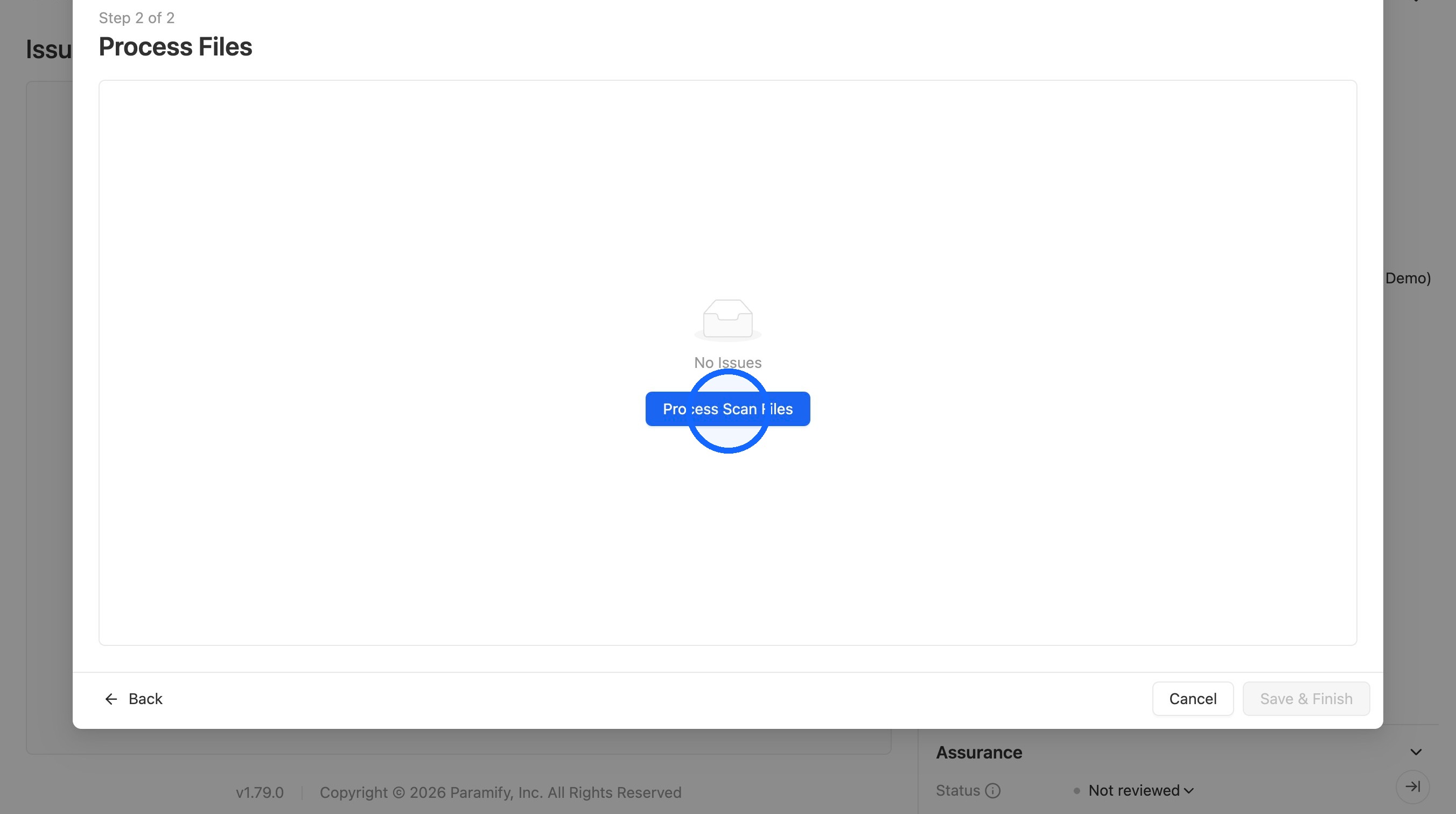 Process Scan Files button